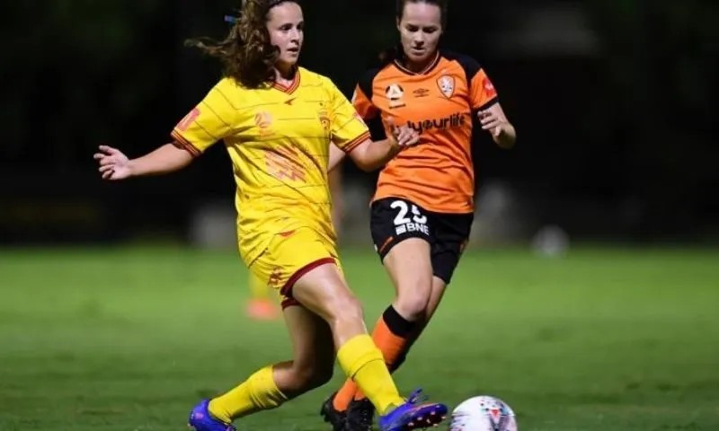 Giới thiệu chung về Số liệu thống kê về câu lạc bộ bóng đá Brisbane Roar gặp Adelaide United