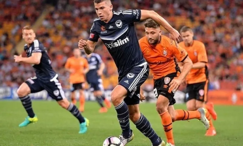 Tổng quan Số liệu thống kê về câu lạc bộ bóng đá Brisbane Roar gặp Melbourne